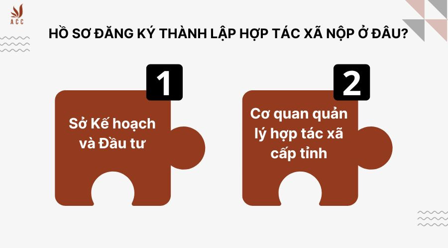ho-so-dang-ky-thanh-lap-hop-tac-xa-nop-o-dau