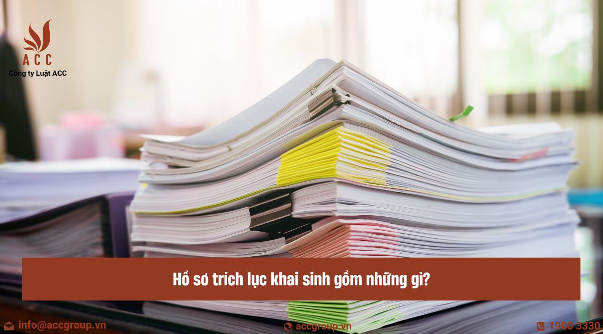 Hồ sơ trích lục khai sinh gồm những gì?