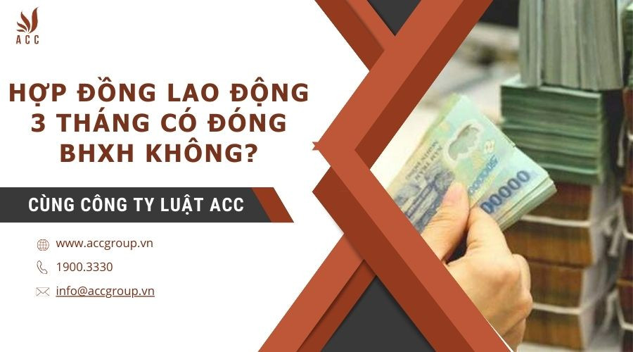 hop-dong-lao-dong-3-thang-co-dong-bhxh-khong-1