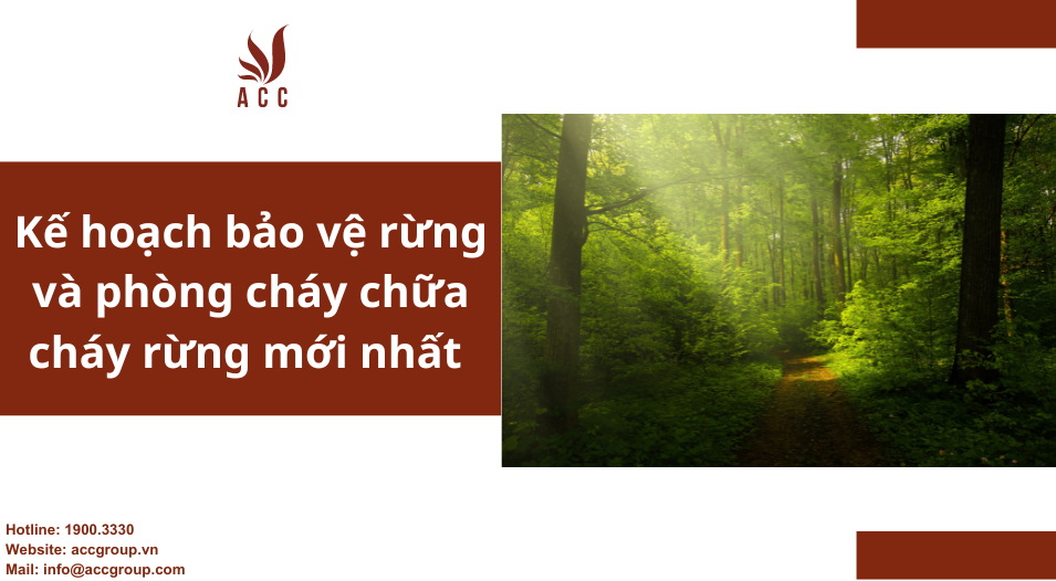 Kế hoạch bảo vệ rừng và phòng cháy chữa cháy rừng mới nhất