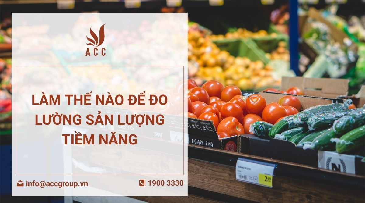 Làm thế nào để đo lường sản lượng tiềm năng