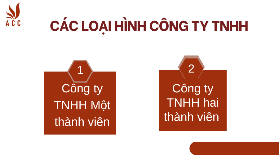 Có mấy loại công ty TNHH?