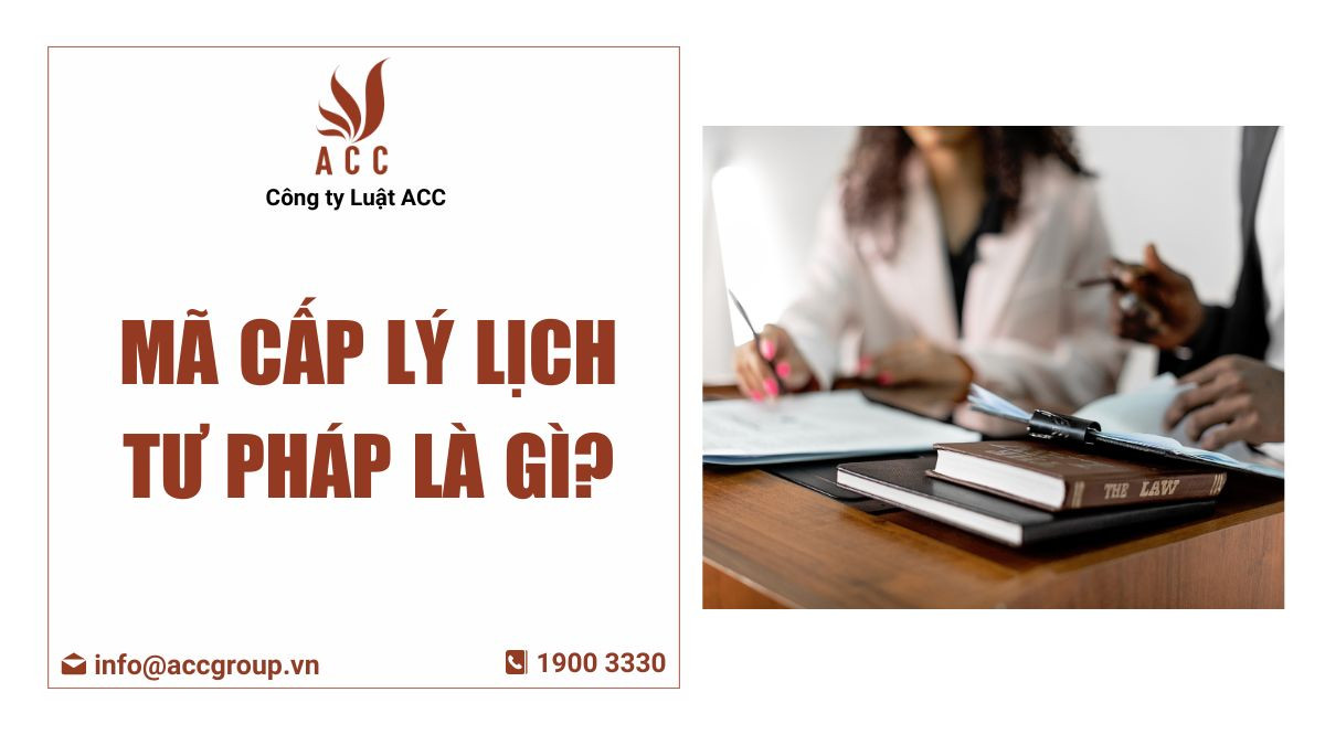 Mã cấp lý lịch tư pháp là gì?