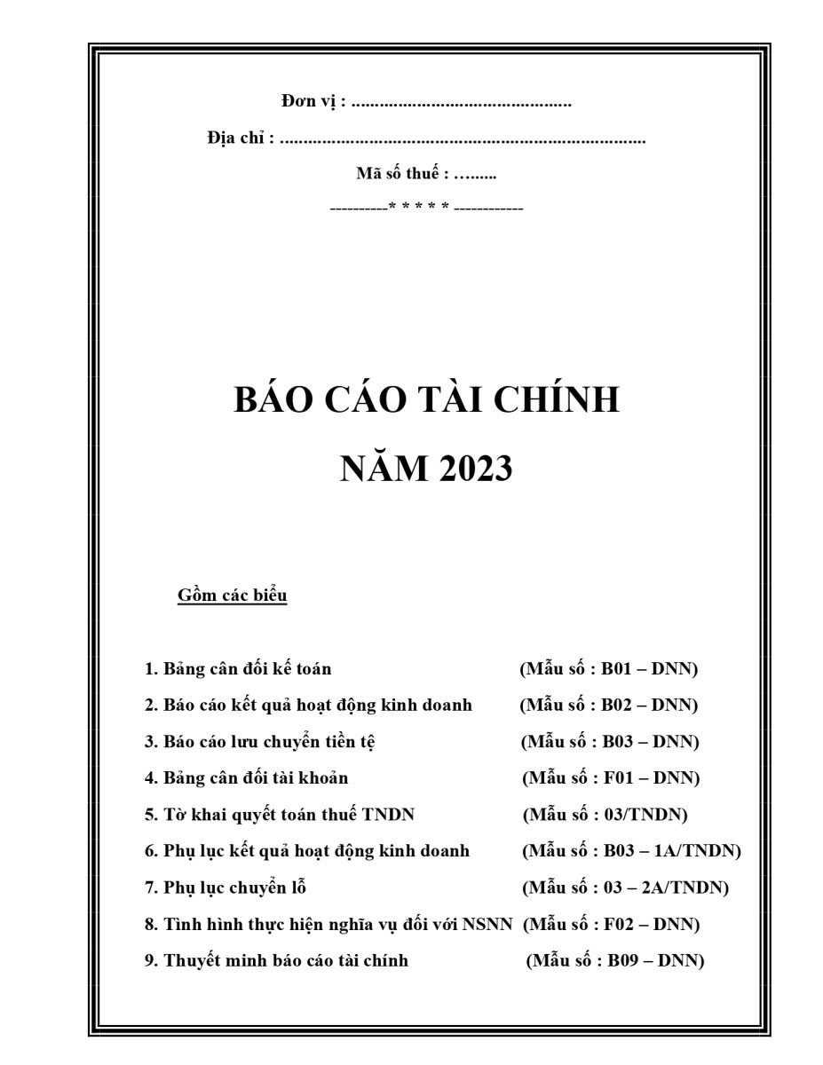 Mẫu báo cáo tài chính 2023