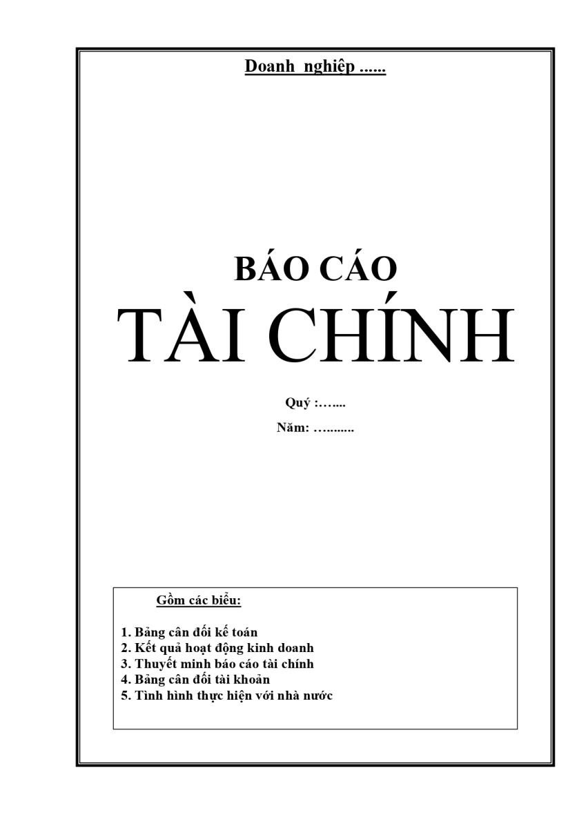 Mẫu báo cáo tài chính 