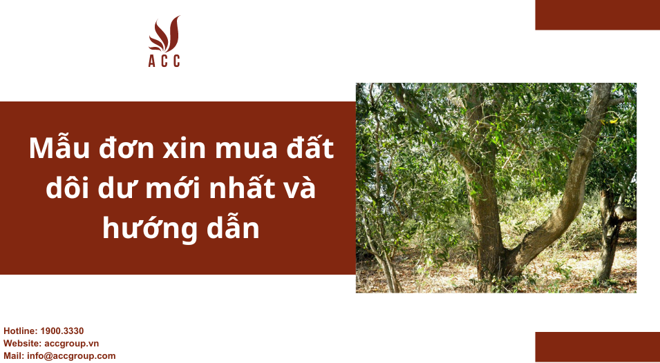 Mẫu đơn xin mua đất dôi dư mới nhất và hướng dẫn