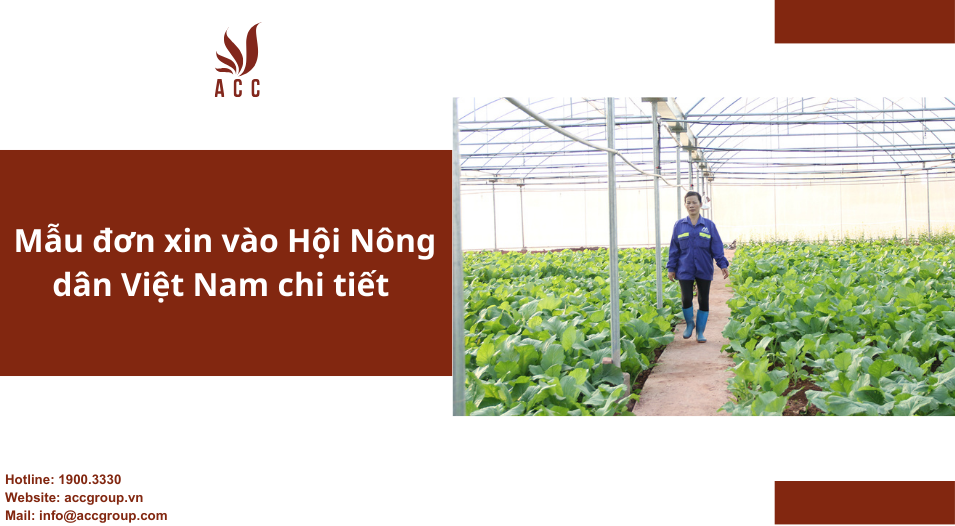 Mẫu đơn xin vào Hội Nông dân Việt Nam chi tiết