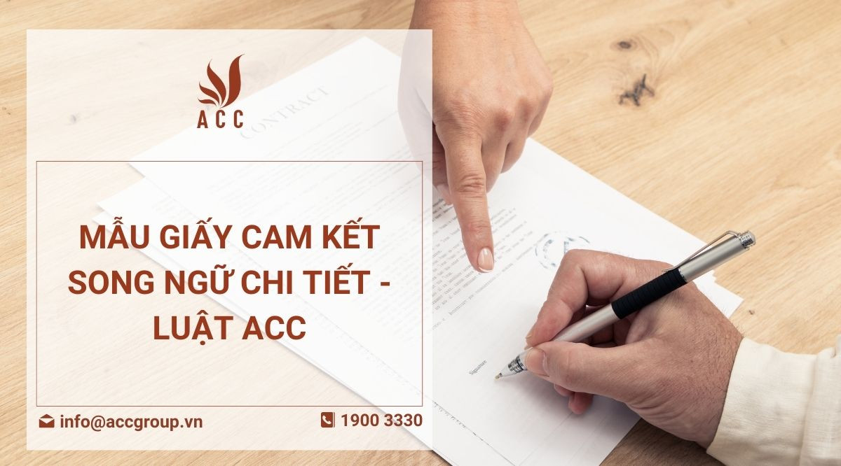 Mẫu giấy cam kết song ngữ chi tiết - Luật ACC