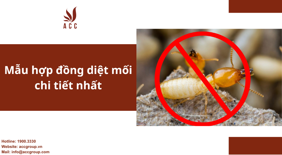 Mẫu hợp đồng diệt mối chi tiết nhất