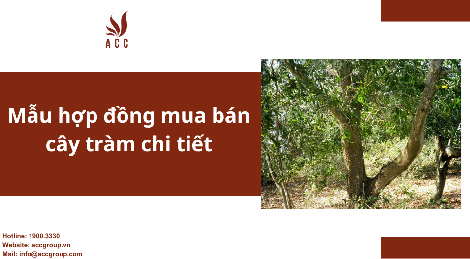 Mẫu hợp đồng mua bán cây tràm chi tiết