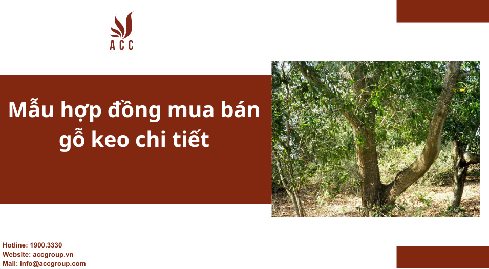 Mẫu hợp đồng mua bán gỗ keo chi tiết