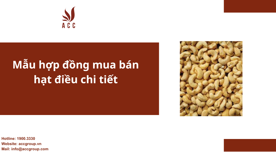 Mẫu hợp đồng mua bán hạt điều chi tiết