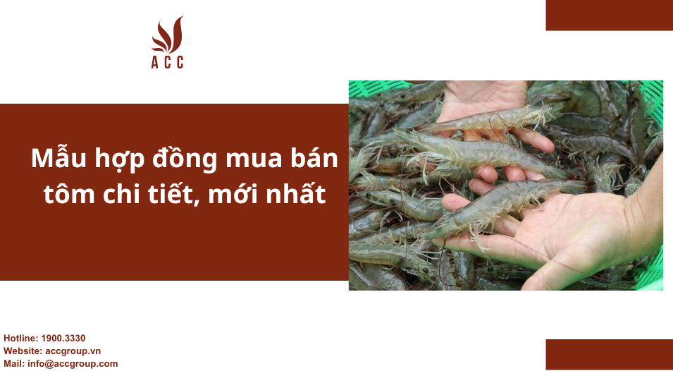 Mẫu hợp đồng mua bán tôm chi tiết, mới nhất