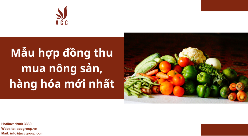 Mẫu hợp đồng thu mua nông sản, hàng hóa mới nhất