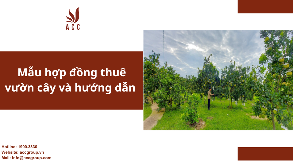 Mẫu hợp đồng thuê vườn cây và hướng dẫn