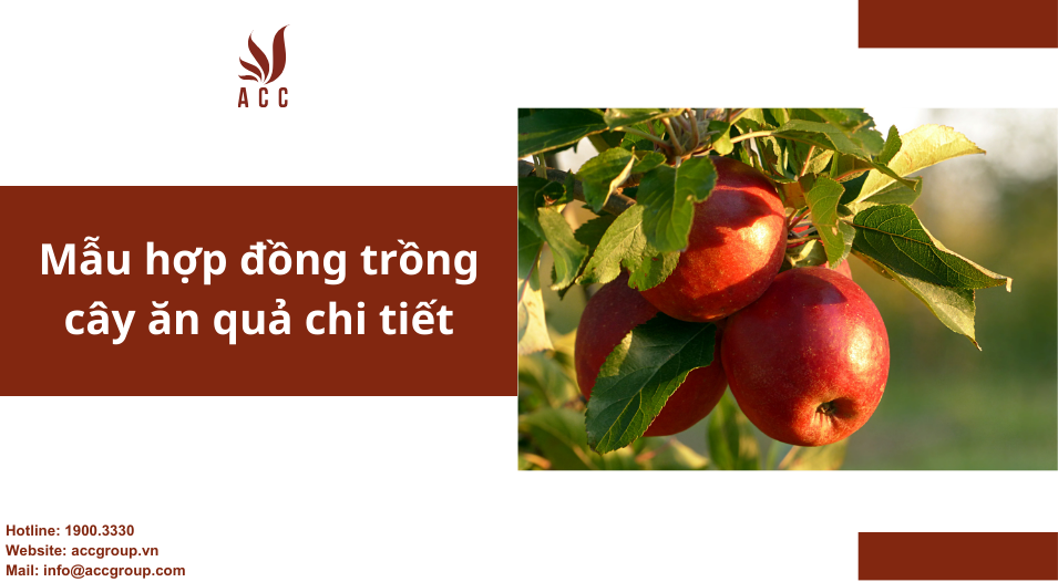Mẫu hợp đồng trồng cây ăn quả chi tiết