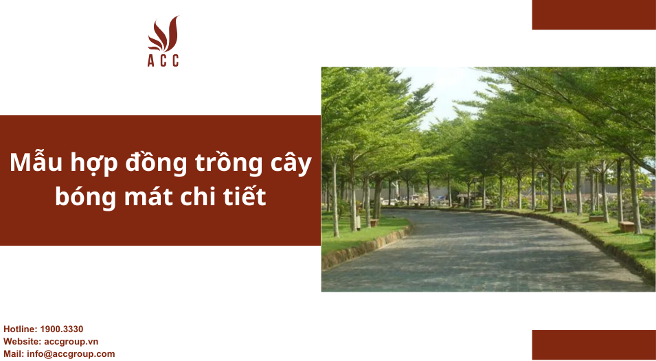 Mẫu hợp đồng trồng cây bóng mát chi tiết