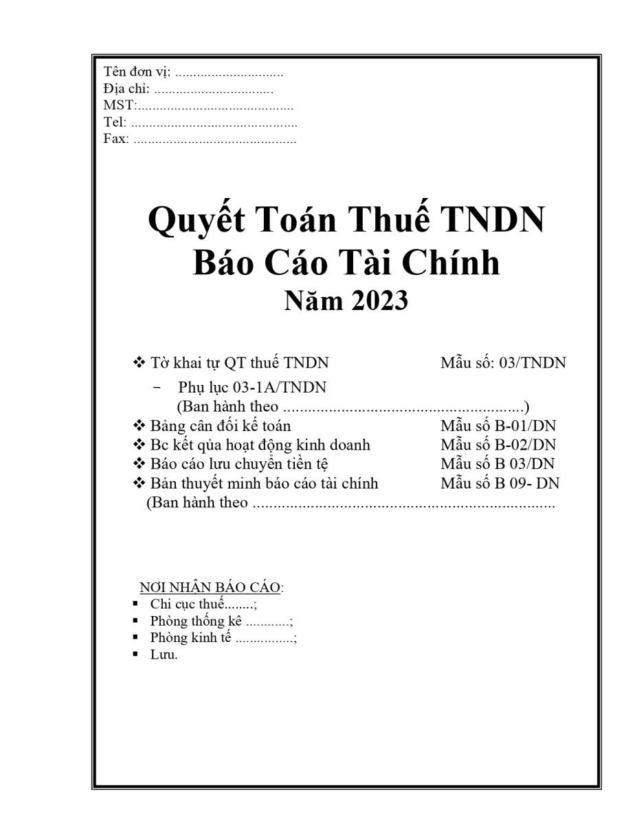 Mẫu quyết toán thuế TNDN Báo cáo tài chính