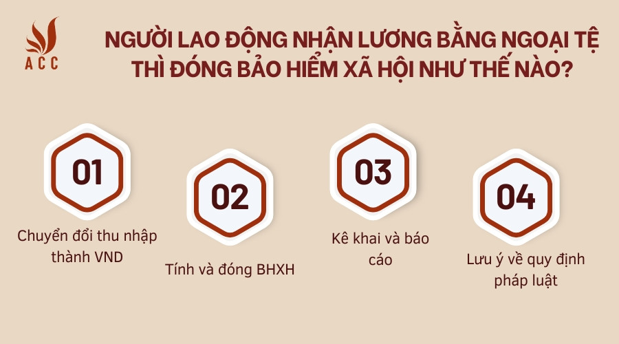 Người lao động nhận lương bằng ngoại tệ thì đóng bảo hiểm xã hội như thế nào?