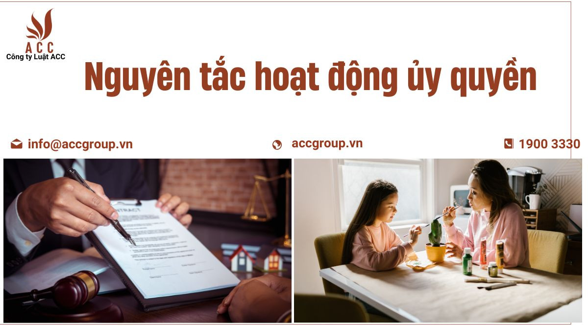 nguyen-tac-hoat-dong-uy-quyen