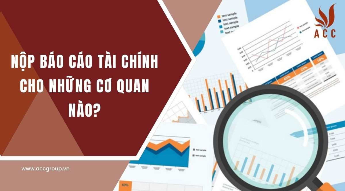 Nộp báo cáo tài chính cho những cơ quan nào? [Hướng dẫn chi tiết]