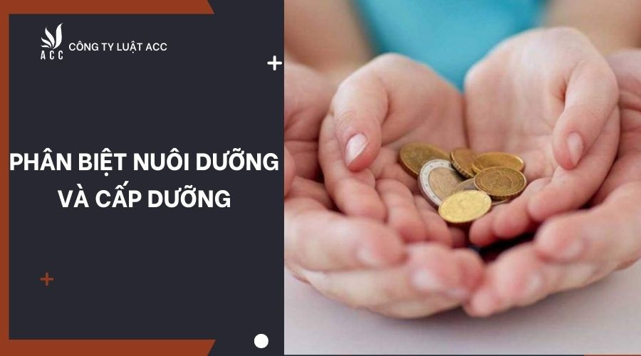 phan-biet-nuoi-duong-va-cap-duong
