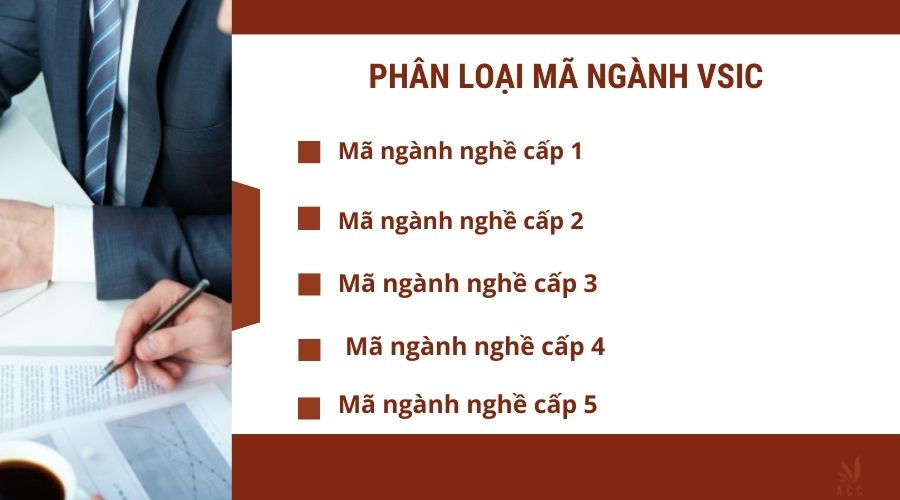 phan-loai-ma-nganh-vsic-1
