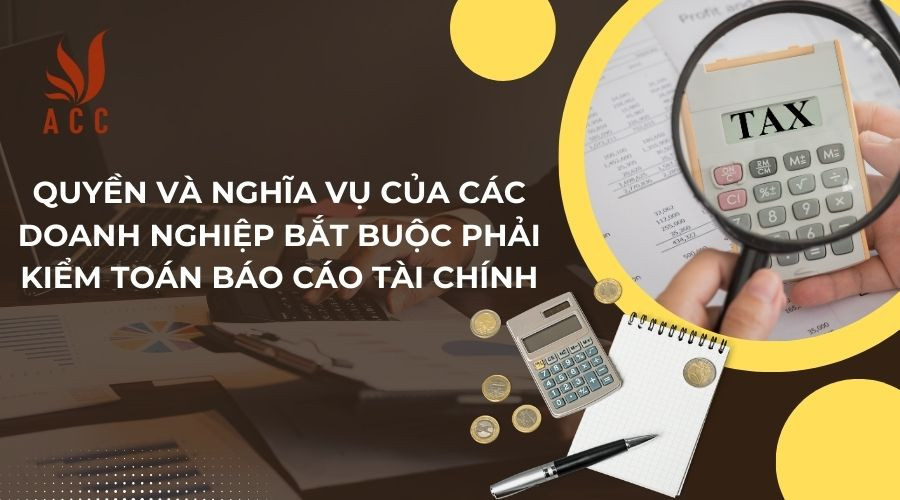 Quyền và nghĩa vụ của các doanh nghiệp bắt buộc phải kiểm toán báo cáo tài chính