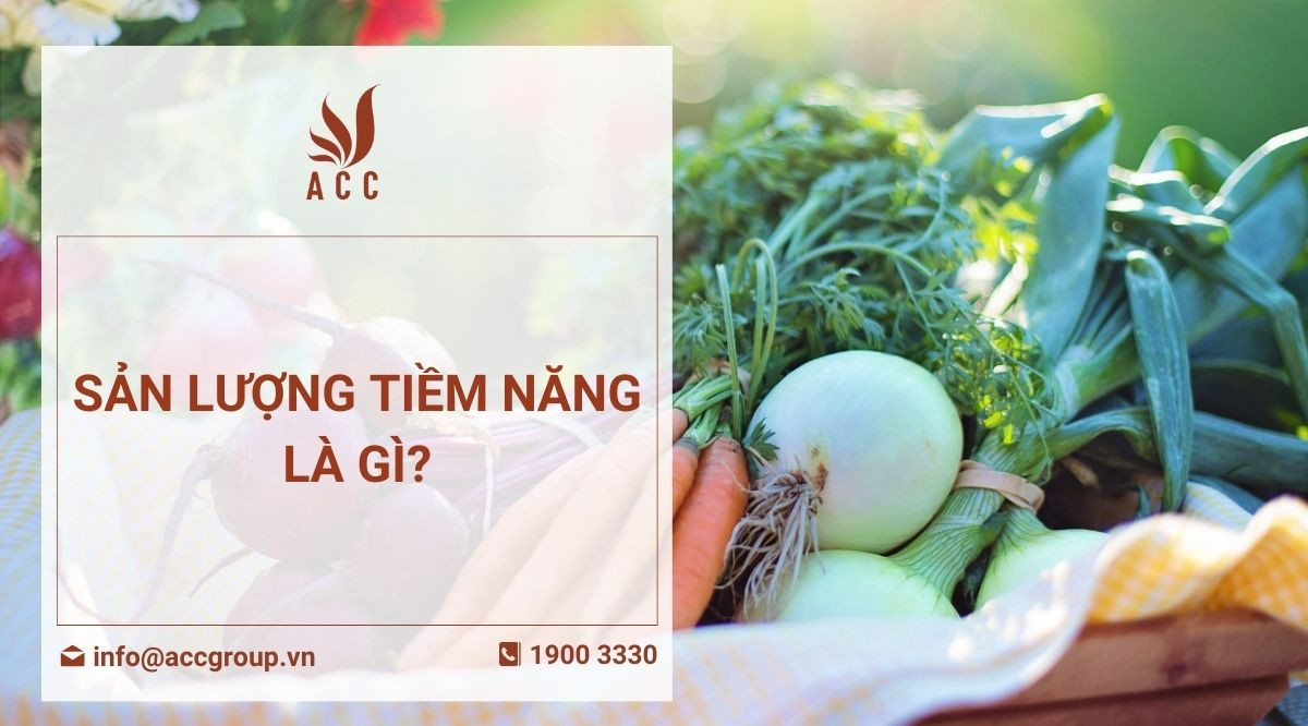 Sản lượng tiềm năng là gì