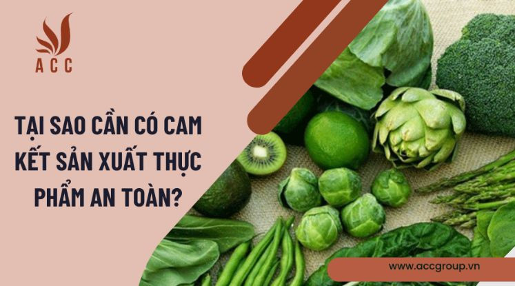 Tại sao cần có cam kết sản xuất thực phẩm an toàn?