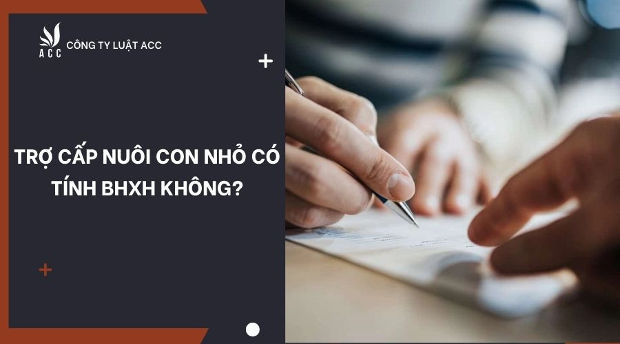 Trợ cấp nuôi con nhỏ có tính BHXH không?