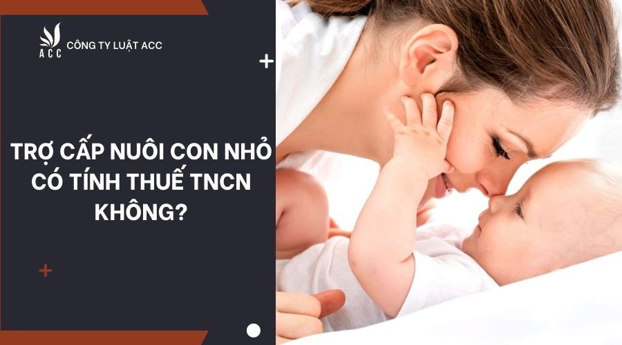 Trợ cấp nuôi con nhỏ có tính thuế TNCN không?