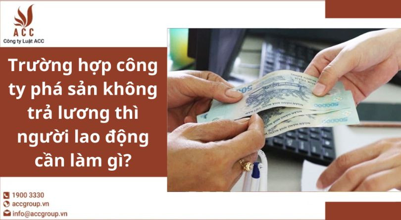 Trường hợp công ty phá sản không trả lương thì người lao động cần làm gì?