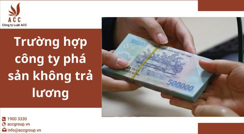 Trường hợp công ty phá sản không trả lương