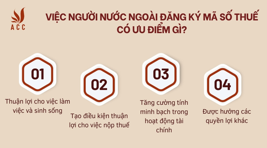 Việc người nước ngoài đăng ký mã số thuế có ưu điểm gì?
