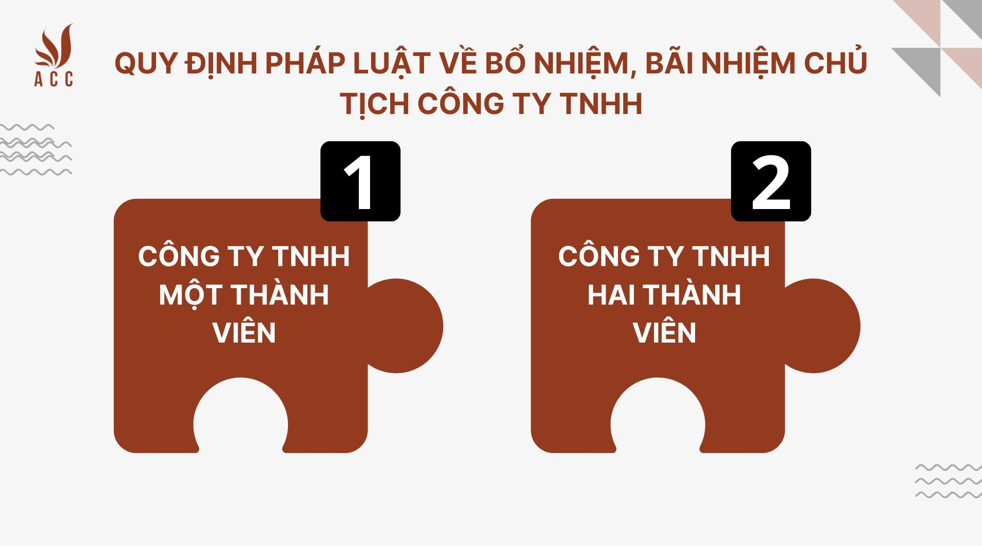 Quy định pháp luật về bổ nhiệm, bãi nhiệm chủ tịch công ty TNHH