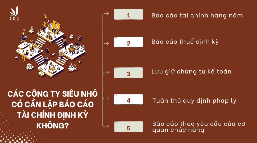 cac-cong-ty-sieu-nho-co-can-lap-bao-cao-tai-chinh-dinh-ky-khong