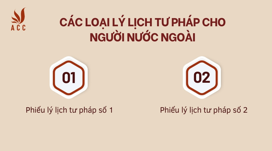 Các loại lý lịch tư pháp cho người nước ngoài