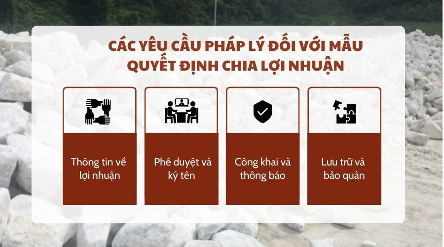 Các yêu cầu pháp lý đối với mẫu quyết định chia lợi nhuận