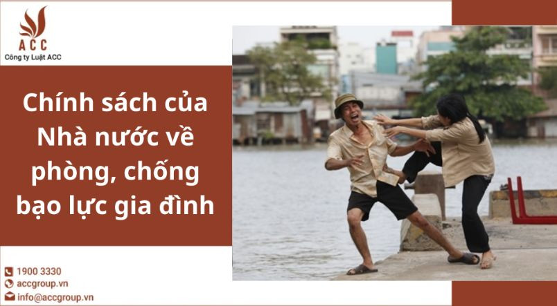 Chính sách của Nhà nước về phòng, chống bạo lực gia đình