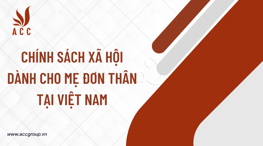 Chính sách xã hội dành cho mẹ đơn thân tại Việt Nam