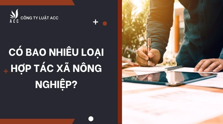 Có bao nhiêu loại hợp tác xã nông nghiệp?