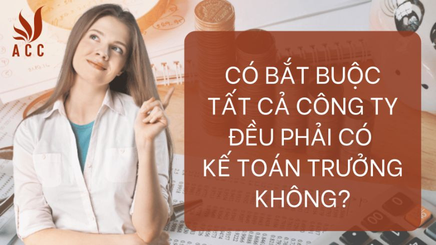 Có bắt buộc tất cả công ty đều phải có kế toán trưởng không?