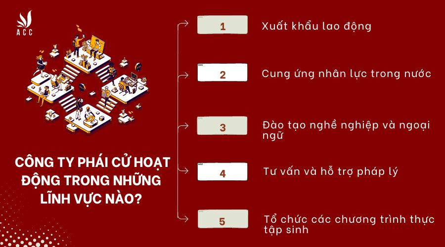 Công ty phái cử hoạt động trong những lĩnh vực nào?