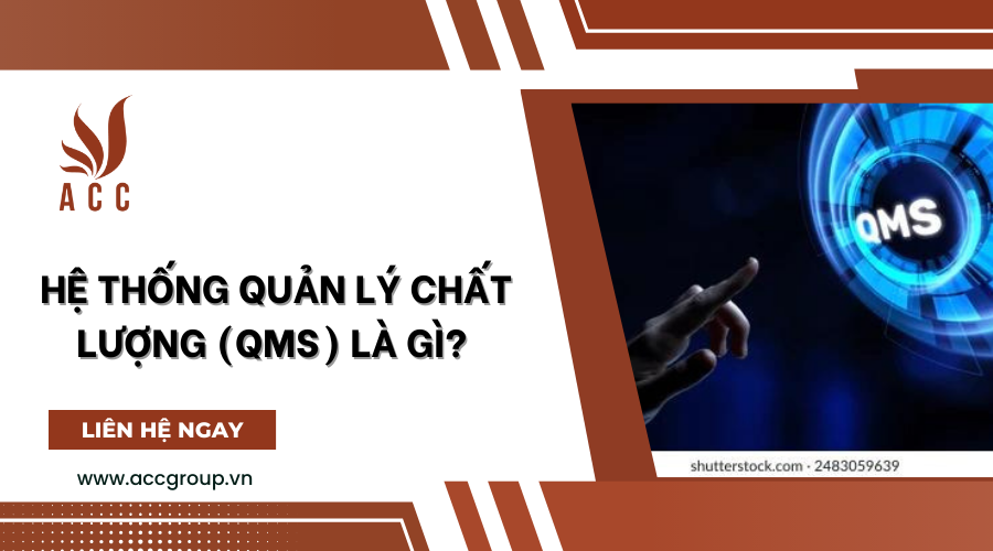 Hệ thống quản lý chất lượng (QMS) là gì? [chi tiết]