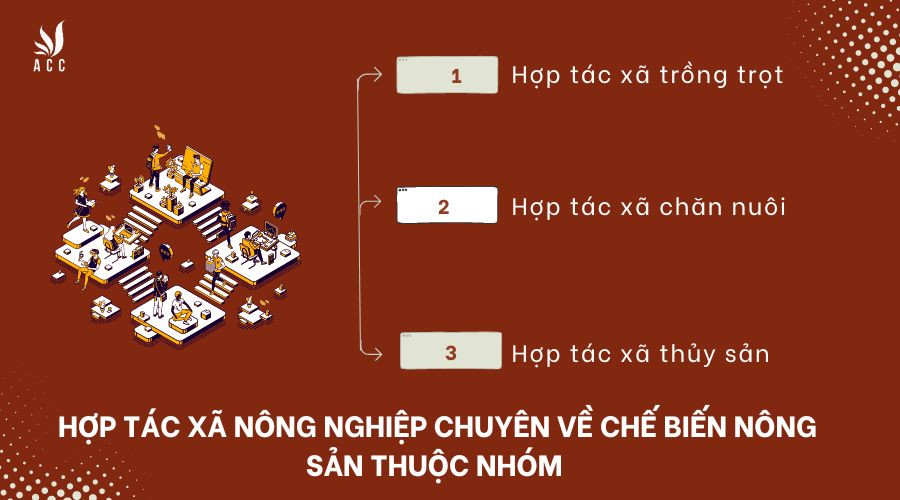 Có bao nhiêu loại hợp tác xã nông nghiệp chuyên về chế biến nông sản?