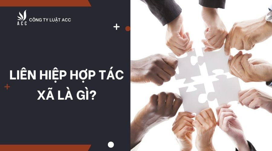 Liên hiệp hợp tác xã là gì?