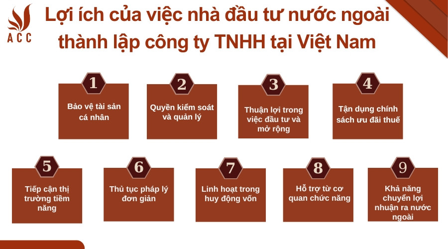 Lợi ích của việc nhà đầu tư nước ngoài thành lập công ty TNHH tại Việt Nam