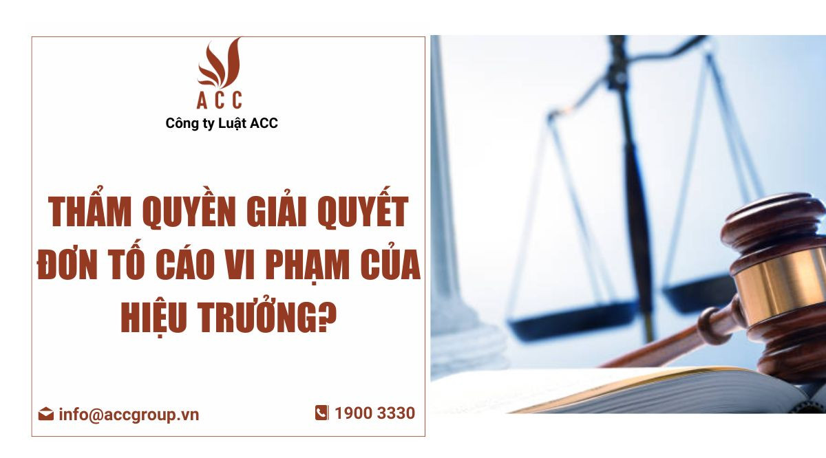 mau-don-to-cao-hieu-truong-va-cach-viet-don-chuan-nhat-1