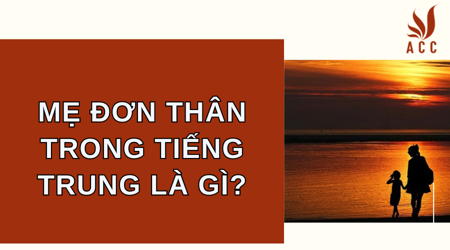 Mẹ đơn thân tiếng Trung là gì?